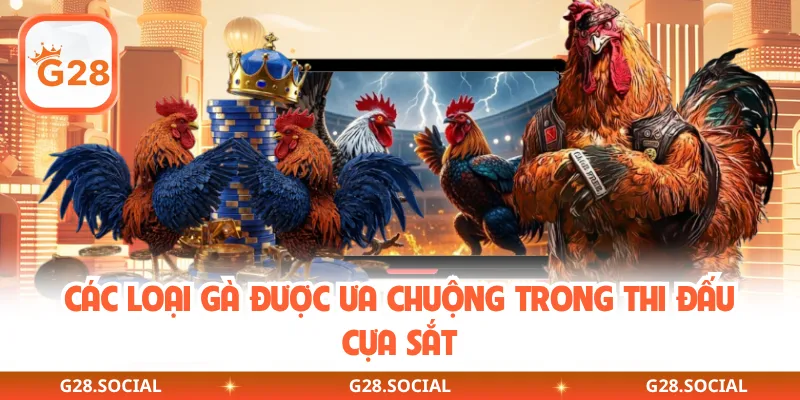 Các loại gà được ưa chuộng trong thi đấu cựa sắt